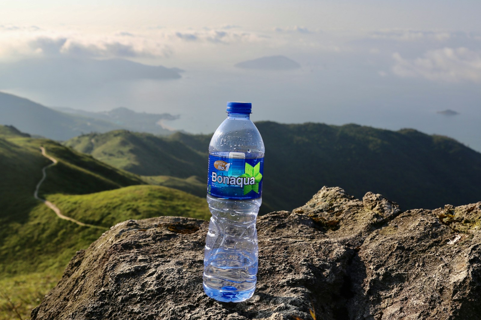 blue labeled bottled water on brown rock